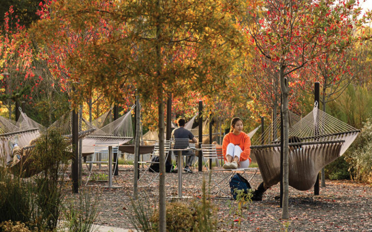 Historic Landscape Architecture Consulting Services – Easy Guide for Preservation Projects