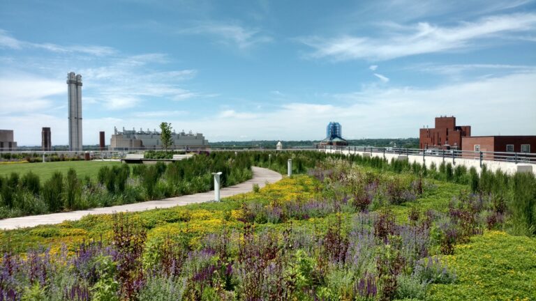 Living Roof House System – Best Sustainable Roofing Solution for Modern Homes